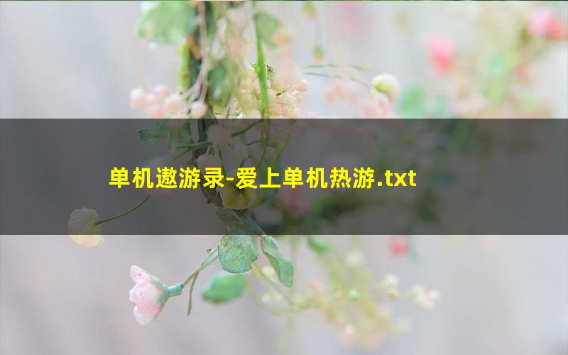 单机遨游录-爱上单机热游.txt