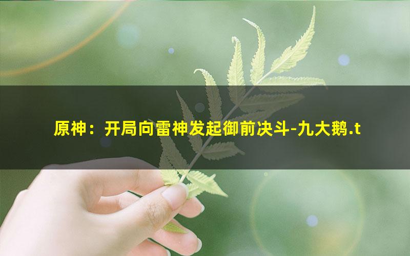 原神：开局向雷神发起御前决斗-九大鹅.txt