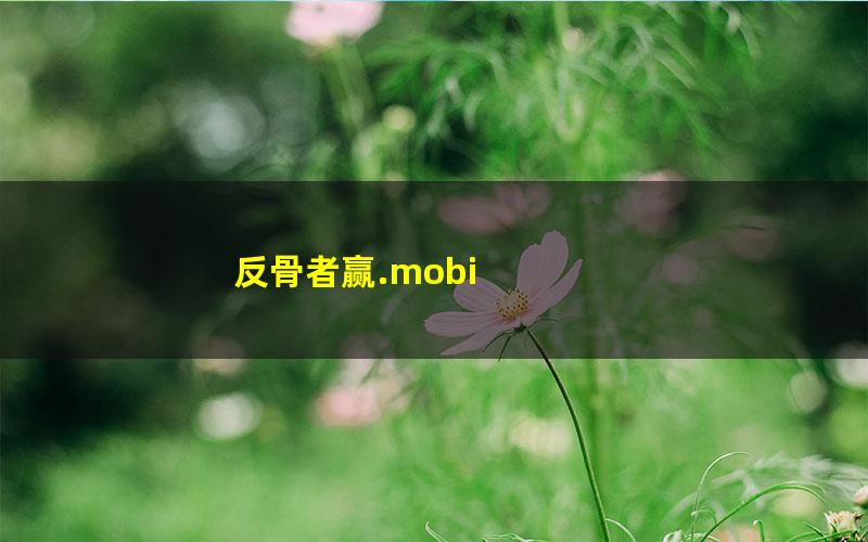 反骨者赢.mobi