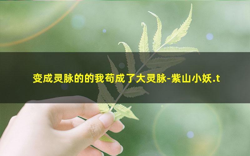 变成灵脉的的我苟成了大灵脉-紫山小妖.txt