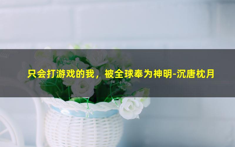 只会打游戏的我，被全球奉为神明-沉唐枕月.txt