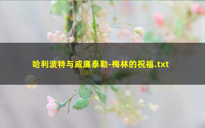 哈利波特与威廉泰勒-梅林的祝福.txt txt/pdf/azw3/mobi电子版百度夸克网盘下载