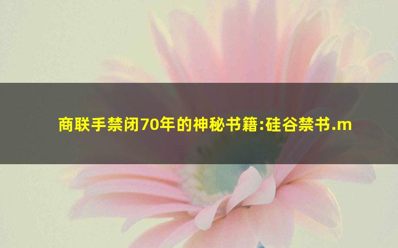 商联手禁闭70年的神秘书籍:硅谷禁书.mobi
