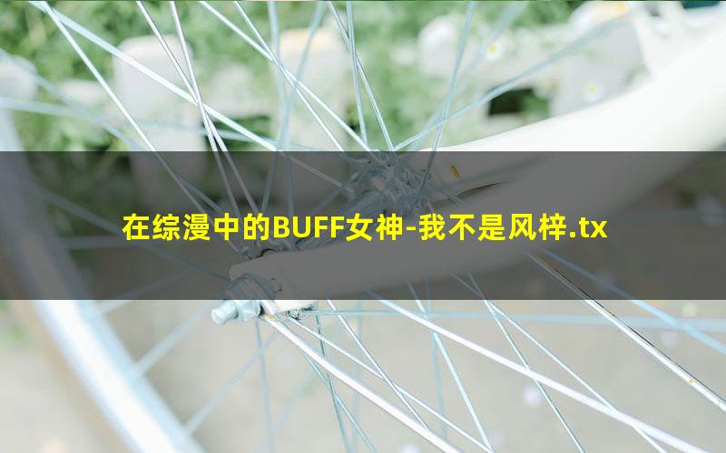 在综漫中的BUFF女神-我不是风梓.txt