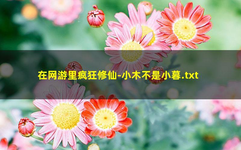 在网游里疯狂修仙-小木不是小暮.txt