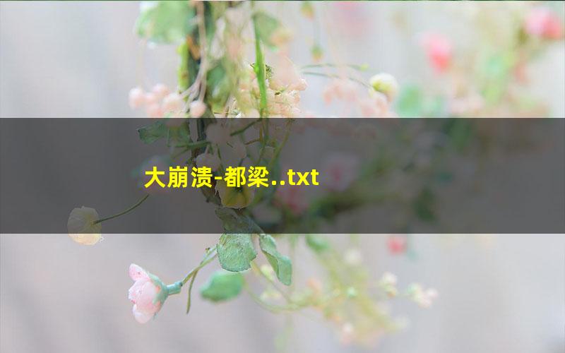 大崩溃-都梁..txt