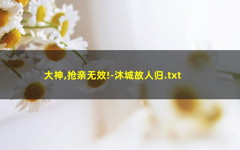 大神,抢亲无效!-沐城故人归.txt