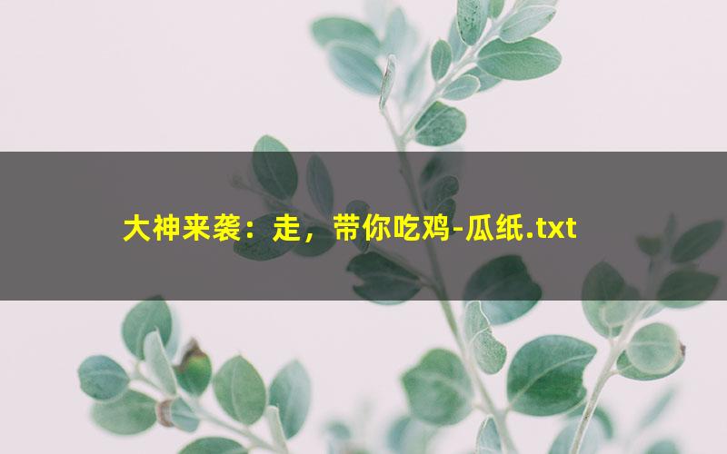 大神来袭：走，带你吃鸡-瓜纸.txt