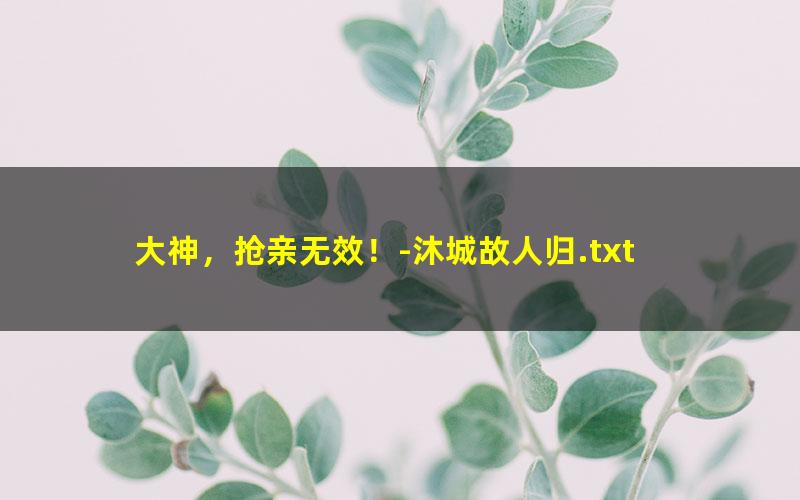 大神，抢亲无效！-沐城故人归.txt