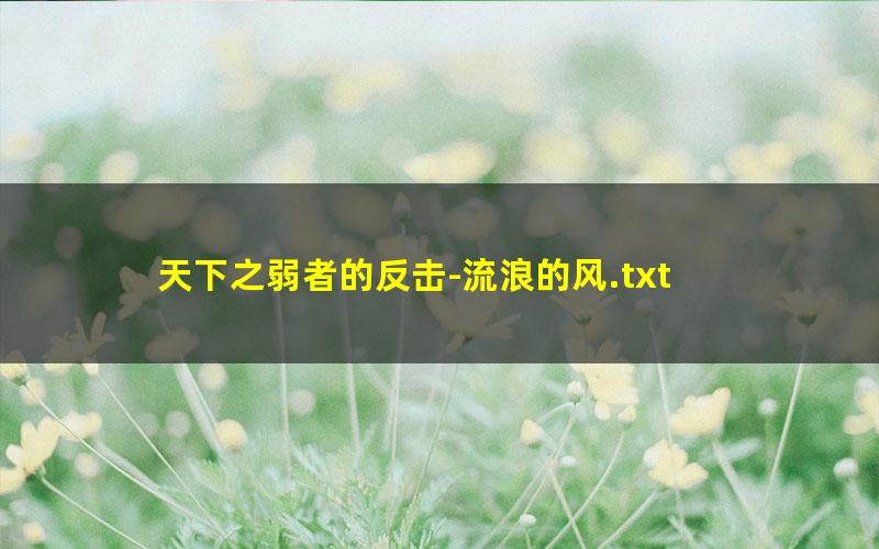 天下之弱者的反击-流浪的风.txt