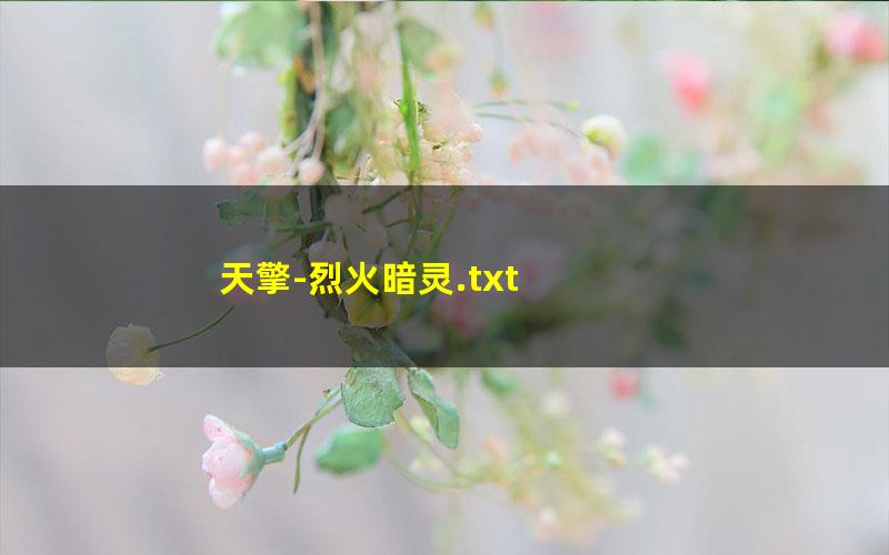 天擎-烈火暗灵.txt