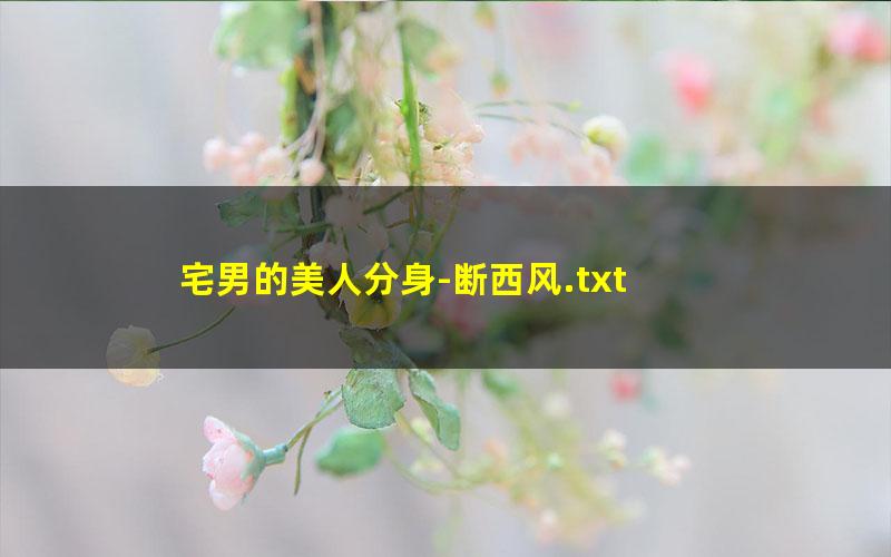宅男的美人分身-断西风.txt