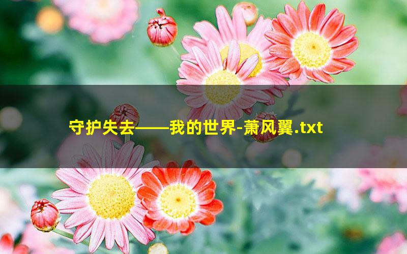 守护失去——我的世界-萧风翼.txt txt/pdf/azw3/mobi电子版百度夸克网盘下载