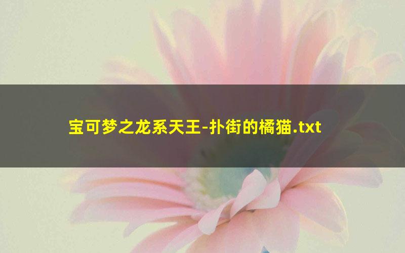 宝可梦之龙系天王-扑街的橘猫.txt