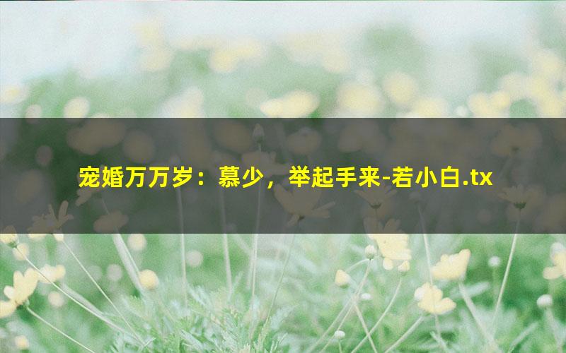 宠婚万万岁：慕少，举起手来-若小白.txt