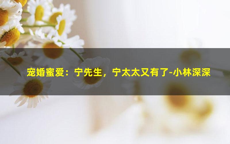 宠婚蜜爱：宁先生，宁太太又有了-小林深深.txt