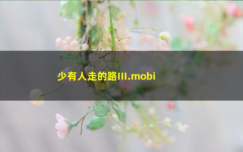 少有人走的路III.mobi