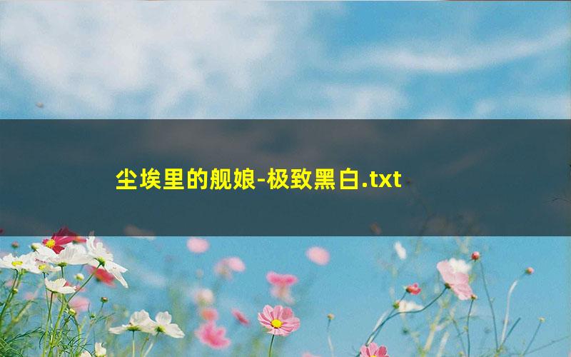 尘埃里的舰娘-极致黑白.txt