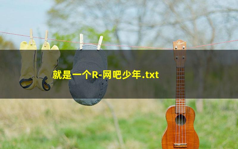 就是一个R-网吧少年.txt