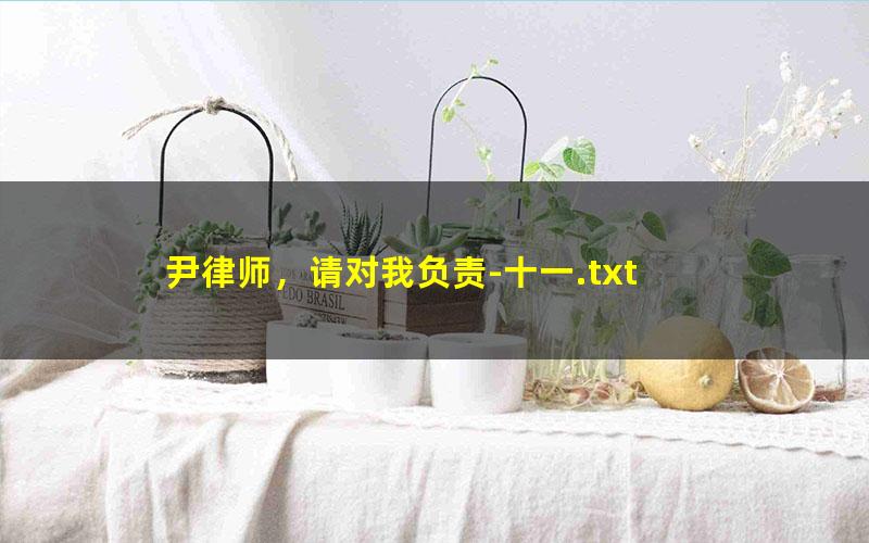 尹律师，请对我负责-十一.txt