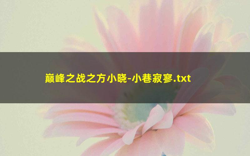 巅峰之战之方小晓-小巷寂寥.txt