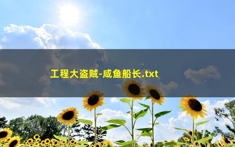 工程大盗贼-咸鱼船长.txt