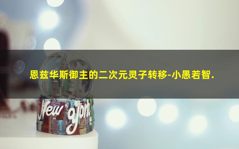 恩兹华斯御主的二次元灵子转移-小愚若智.txt