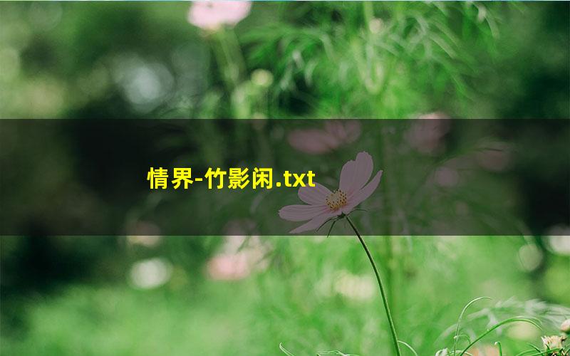 情界-竹影闲.txt