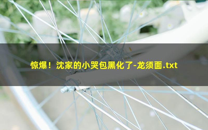 惊爆！沈家的小哭包黑化了-龙须面.txt txt/pdf/azw3/mobi电子版百度夸克网盘下载