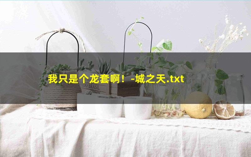 我只是个龙套啊！-城之天.txt