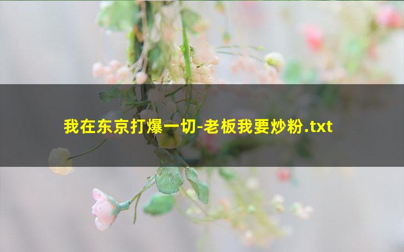 我在东京打爆一切-老板我要炒粉.txt