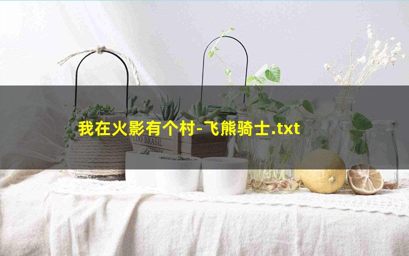 我在火影有个村-飞熊骑士.txt