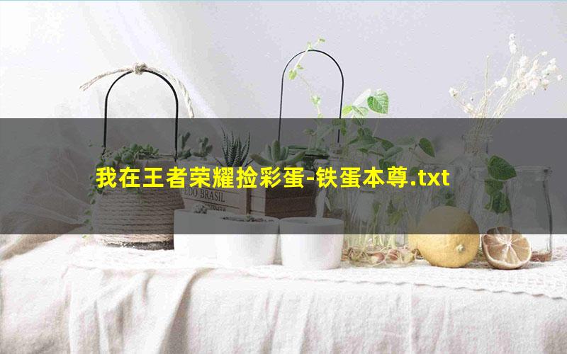 我在王者荣耀捡彩蛋-铁蛋本尊.txt