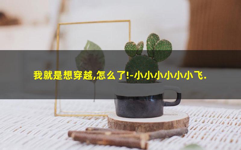 我就是想穿越,怎么了!-小小小小小小飞.txt