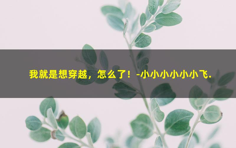 我就是想穿越，怎么了！-小小小小小小飞.txt
