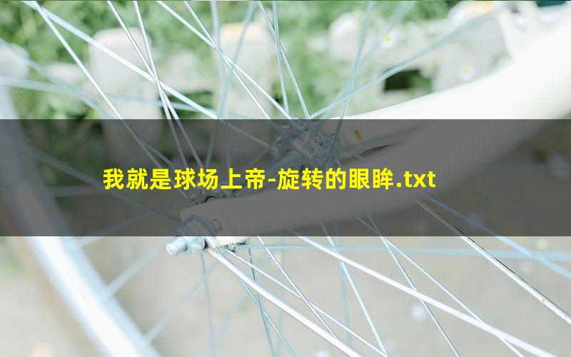 我就是球场上帝-旋转的眼眸.txt