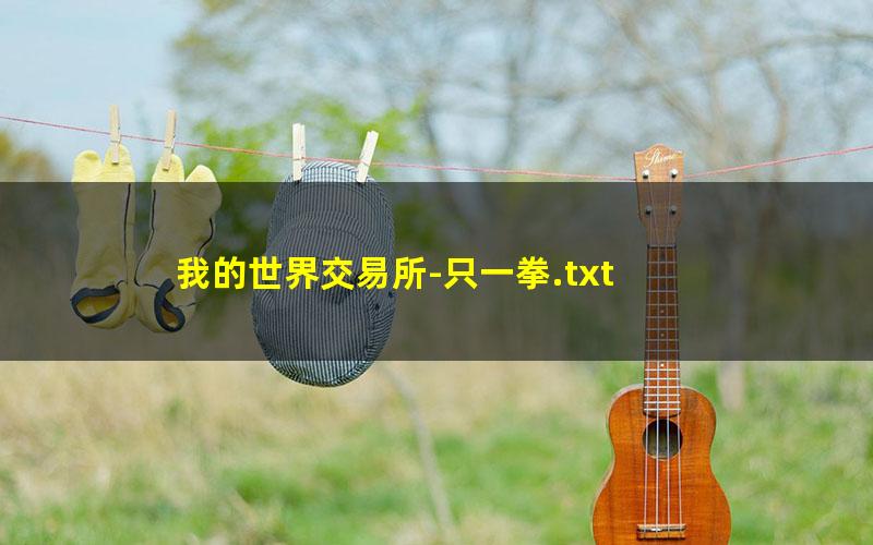 我的世界交易所-只一拳.txt