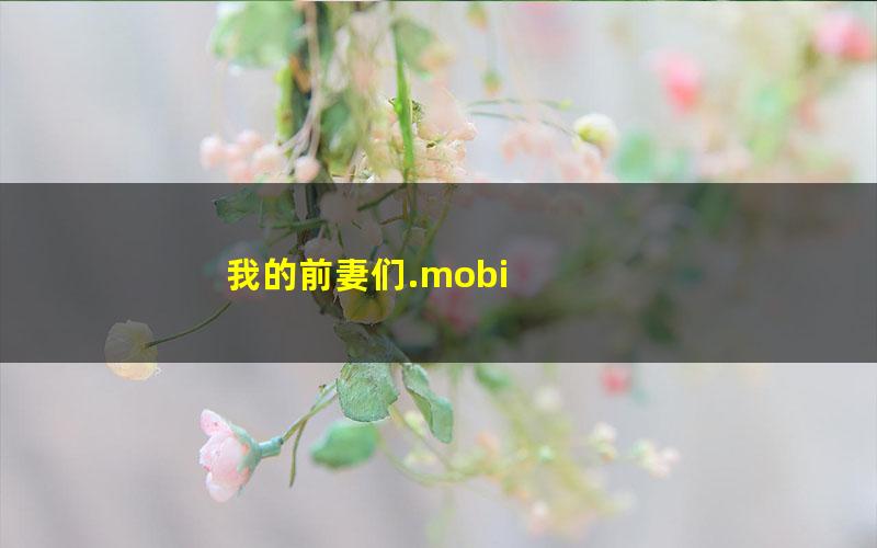 我的前妻们.mobi