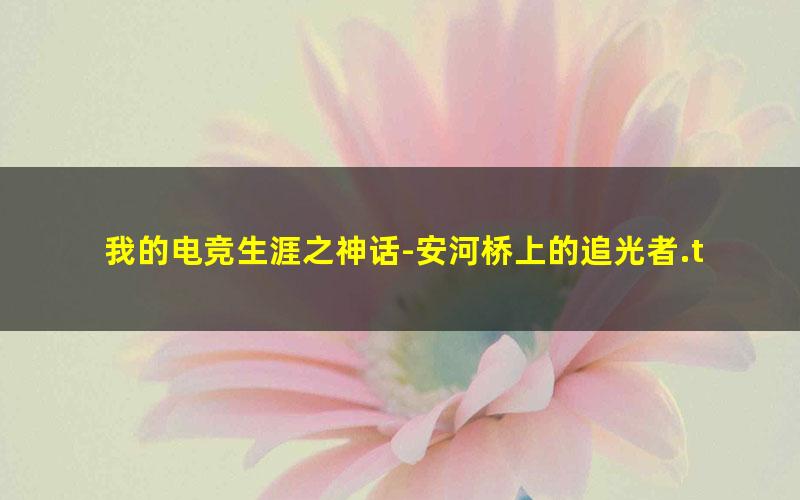 我的电竞生涯之神话-安河桥上的追光者.txt