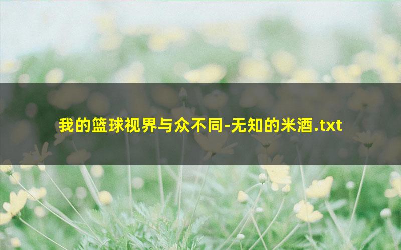 我的篮球视界与众不同-无知的米酒.txt