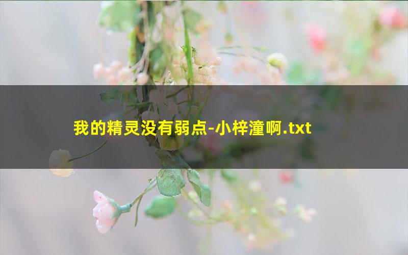 我的精灵没有弱点-小梓潼啊.txt