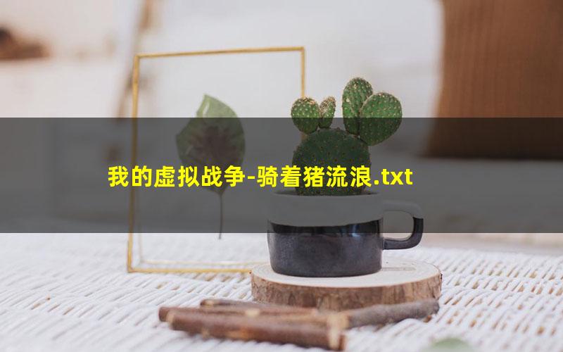 我的虚拟战争-骑着猪流浪.txt