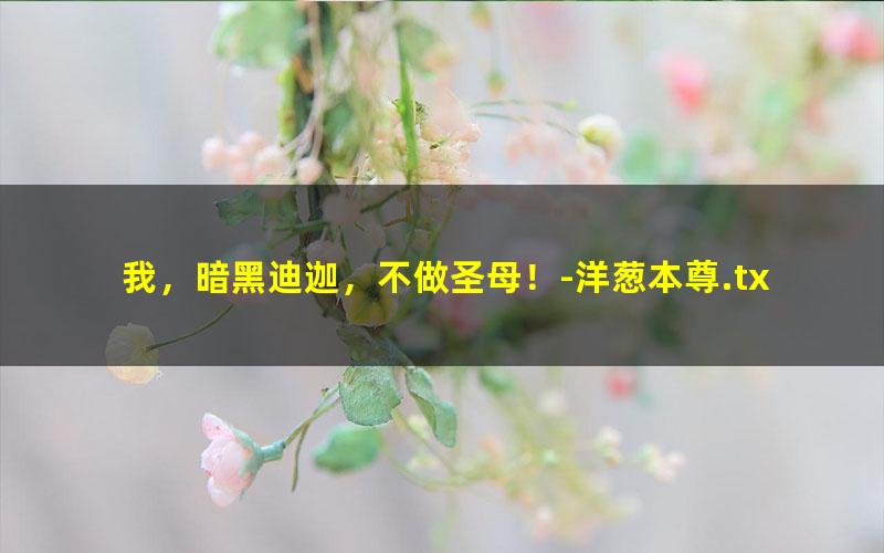 我，暗黑迪迦，不做圣母！-洋葱本尊.txt