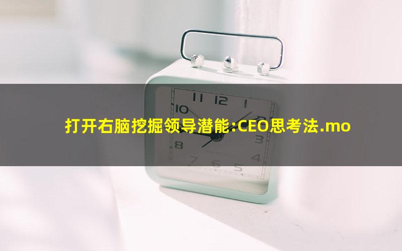 打开右脑挖掘领导潜能:CEO思考法.mobi