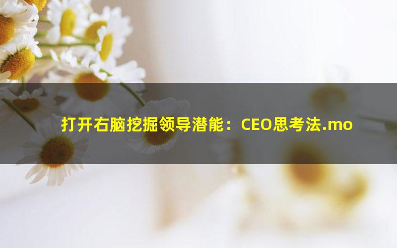 打开右脑挖掘领导潜能：CEO思考法.mobi