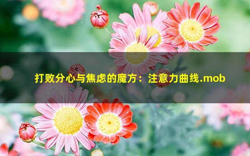 打败分心与焦虑的魔方：注意力曲线.mobi