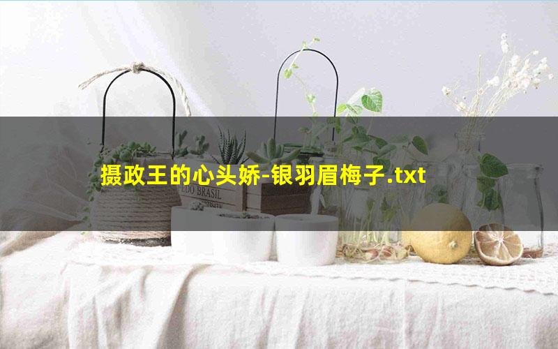 摄政王的心头娇-银羽眉梅子.txt