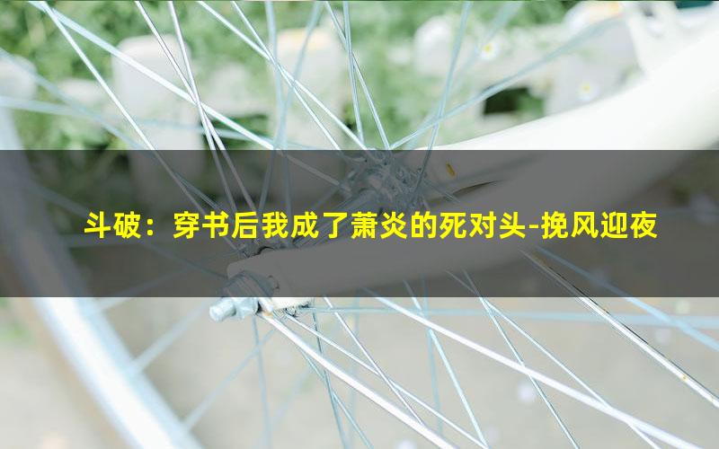 斗破：穿书后我成了萧炎的死对头-挽风迎夜.txt