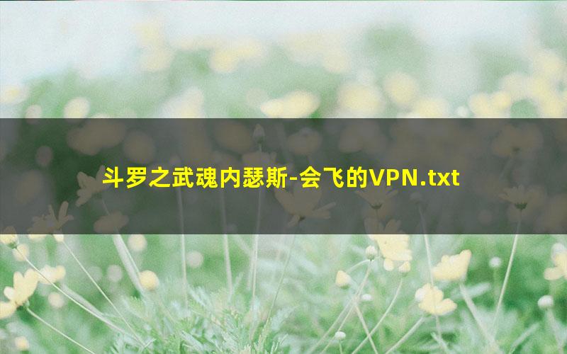 斗罗之武魂内瑟斯-会飞的VPN.txt