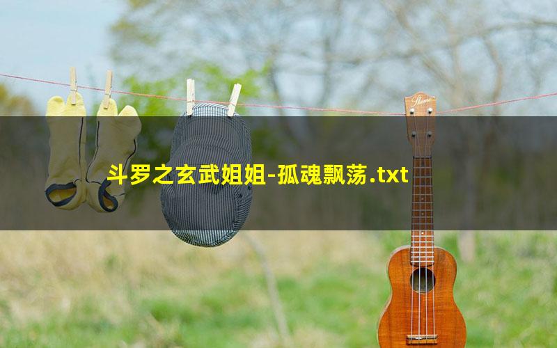斗罗之玄武姐姐-孤魂飘荡.txt txt/pdf/azw3/mobi电子版百度夸克网盘下载